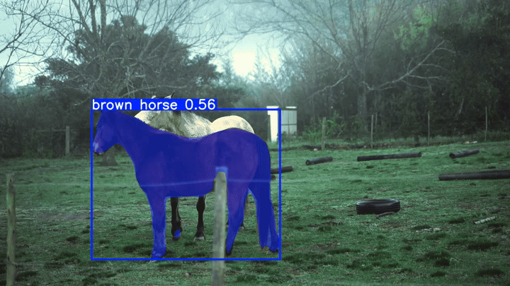 Ultralytics YOLO26: segment objects with a prompt using YOLOE26