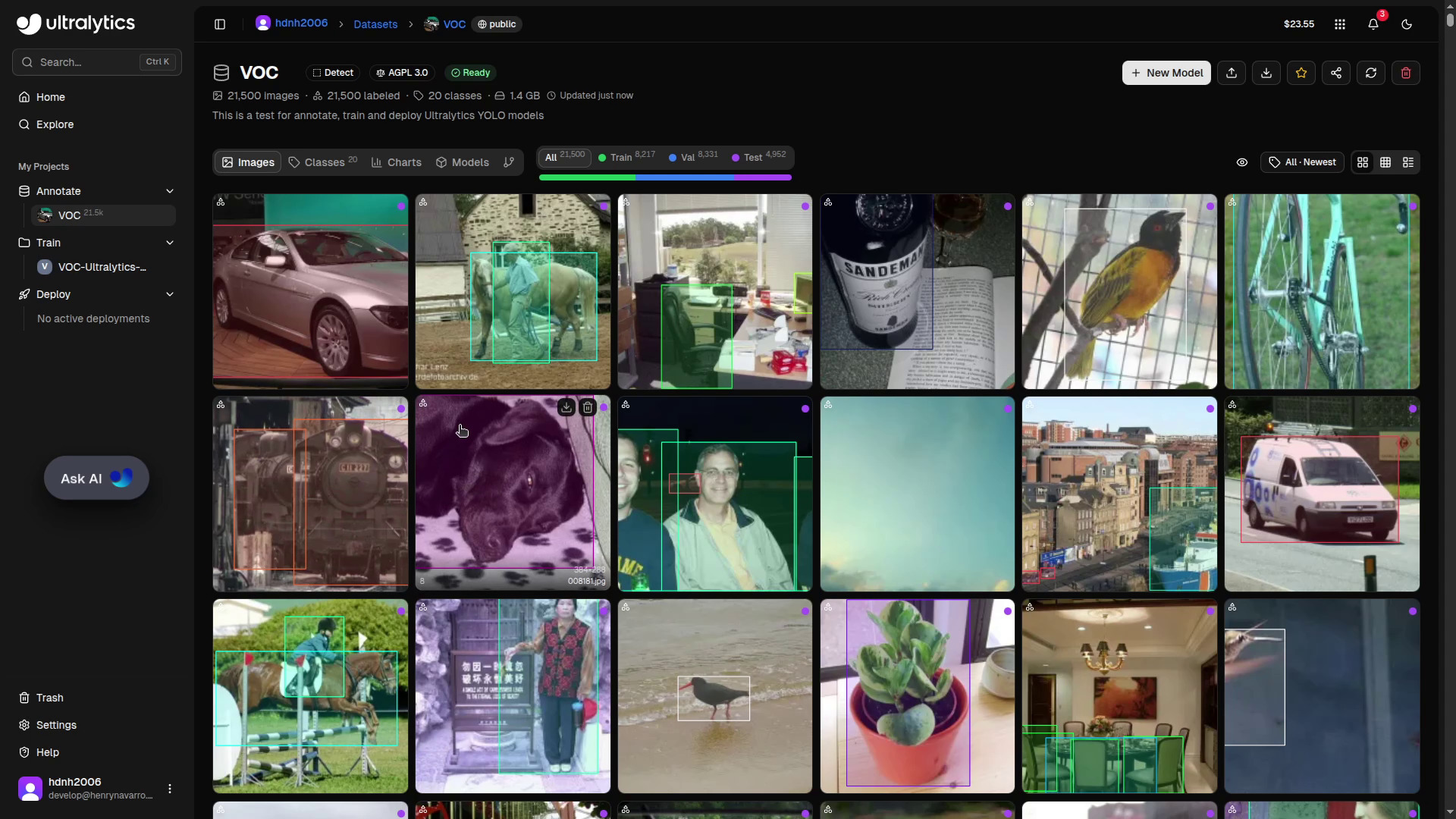 PASCAL VOC dataset uploaded and processed in Ultralytics Platform